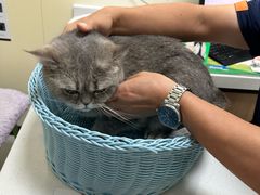 -纳吉亚猫专科动物医院博雅分院