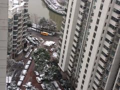 -新湖明珠城