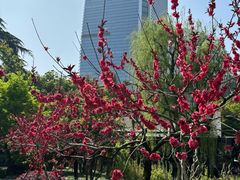 -静安公园(静安寺街道)