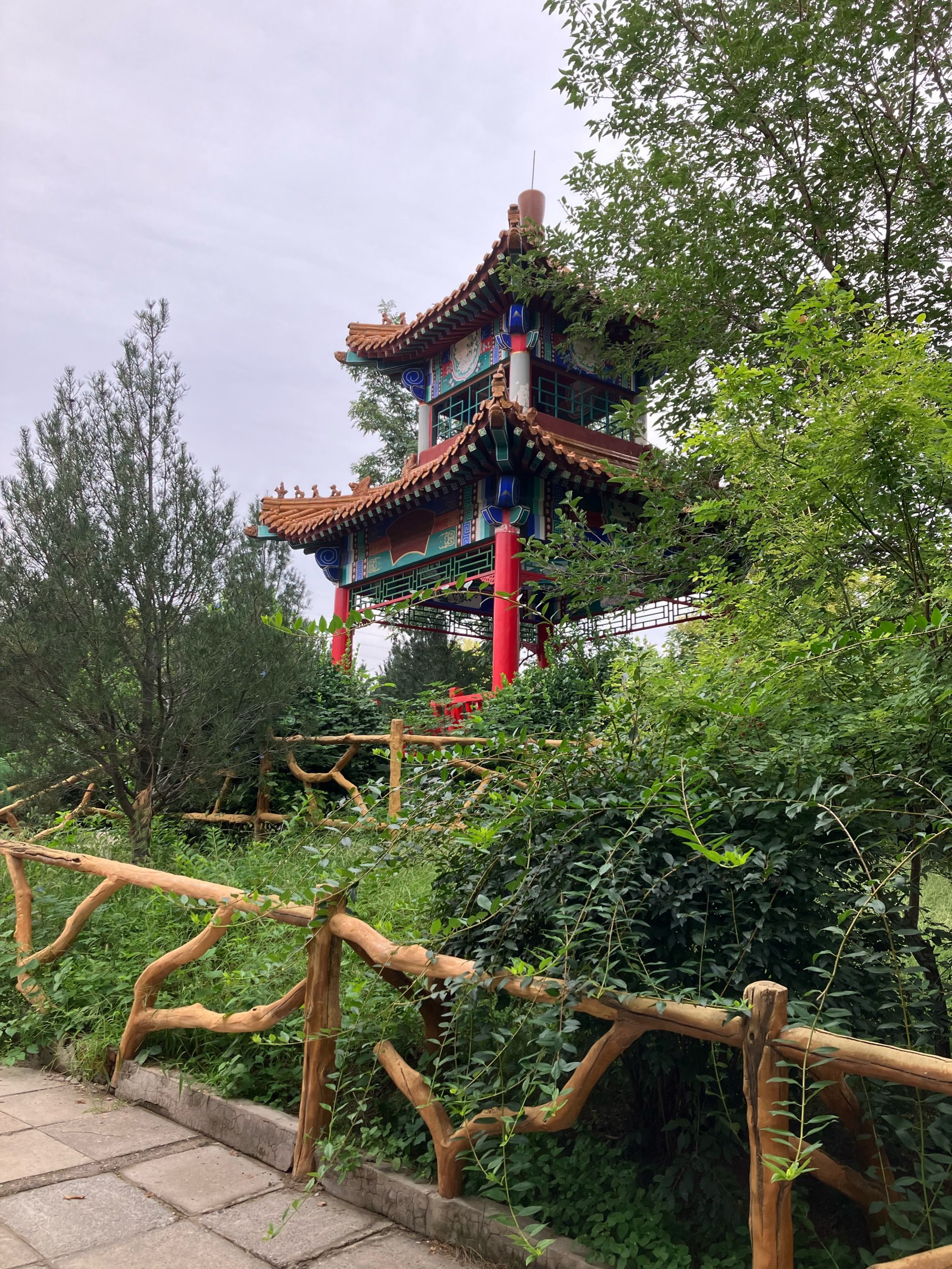 🌲🌳🌿幽静美丽的绿色森林