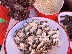 -毛辣果红酸汤火锅·冰煮羊涮肉(西单店)