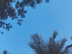 -三亚亚龙湾雅高铂尔曼别墅度假酒店