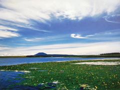 -麦当劳(龙之梦购物中心店)