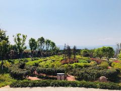 -铁山坪森林公园