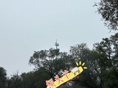 -秦皇岛野生动物园