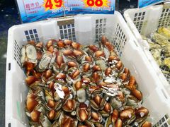 -东江海鲜酒家(艺都分店)