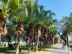-白鹭洲公园