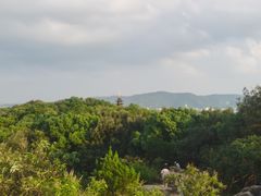 -灵岩山风景区