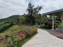 -狐尾山公园