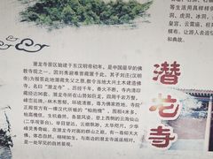 -少华山国家森林公园