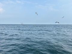 -星海广场