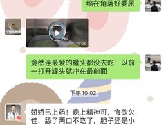 -佳雯宠物医院(四明中路分院)