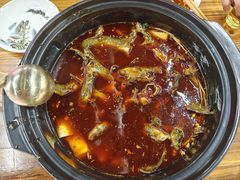 -金海椒罐罐鲢鱼(东方桂苑店)