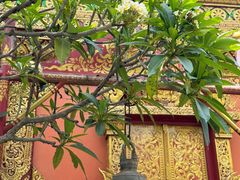 -西双版纳总佛寺