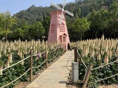 -顺峰山公园