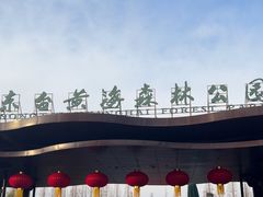 -黄海国家森林公园