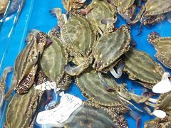 -三旗百汇商品城