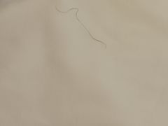 -大连富丽华大酒店