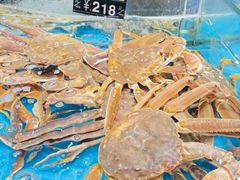 -舌尖上·霞浦滩涂海鲜·新闽菜(总店)