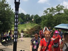 -铁山坪森林公园