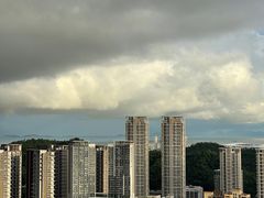 -板樟山森林公园