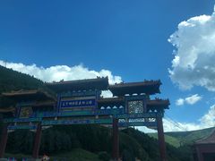 -塞罕坝国家级自然保护区