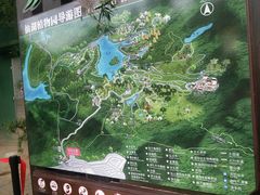 -深圳仙湖植物园
