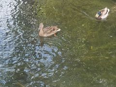 -萤火虫咖啡(后海店)