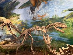 -自贡恐龙博物馆