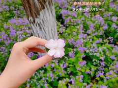 -杭州师范大学(下沙校区)