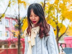 -三里屯东五街银杏大道
