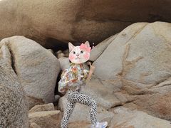 -那琴半岛地质海洋公园