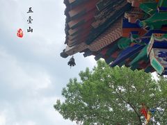 -五台山风景名胜区