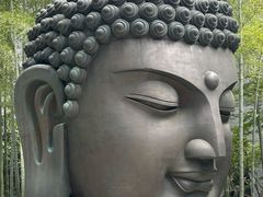 -杭州植物园
