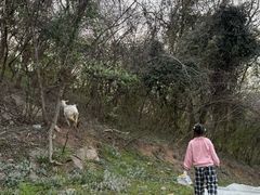 -大金山风景区