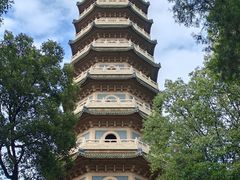 -灵谷景区