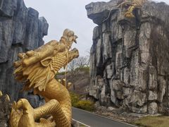 -宜兴龙背山森林公园
