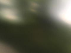 -花水湾第一村温泉大酒店