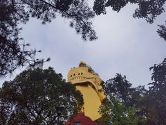 -大金鹰园