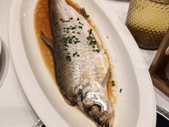 -松沪名灶·豆浆鱼头·新上海菜(江川路交大店)