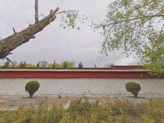 -罗布林卡