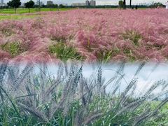 -汉长安城未央宫国家考古遗址公园