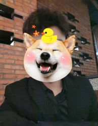 -呵呵造型