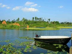 -白鹭湾湿地公园