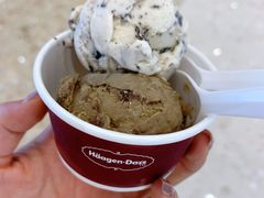 曲奇香奶-哈根达斯(大悦城店)