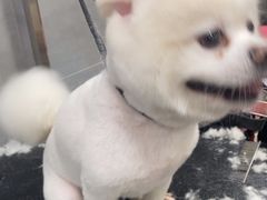 -宠福鑫康馨动物医院·骨科·眼科