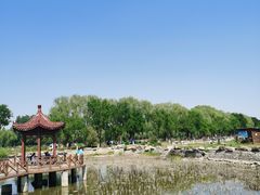 -稻香湖景欢乐岛温泉城堡