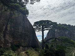 -黄山风景区