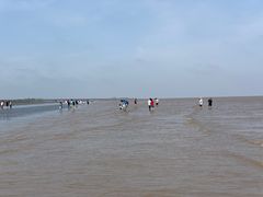 -南汇嘴观海公园