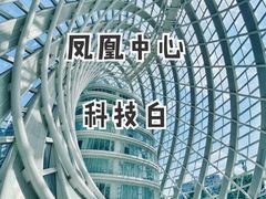 -凤凰中心